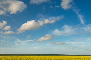 Champs de colza dans l'est de la province de Groningue sur Hillebrand Breuker