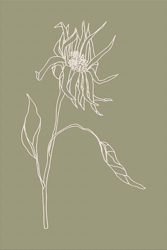 Fleur botanique boho sur vert sauge n°6