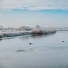 Eenden vliegend over bevroren Lauwersmeer. van Nickie Fotografie
