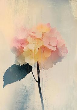 Petal Whispers by Zen and More