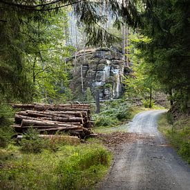 Zeughausstraße, Saksisch Zwitserland - Bospad bij Westelschlüchte van Pixelwerk