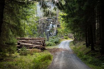 Zeughausstraße, Suisse saxonne - Chemin forestier à la Westelschlüchte sur Pixelwerk