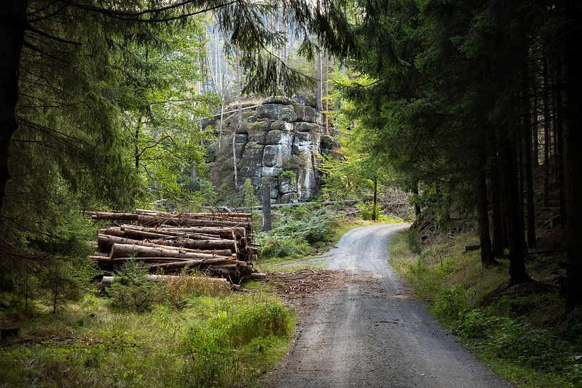 Zeughausstraße, Sächsische Schweiz - Waldweg an der Westelschlüchte von Pixelwerk