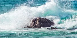 De rots - schaal 1:2