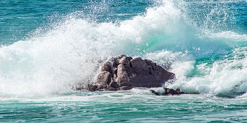 De rots - schaal 1:2