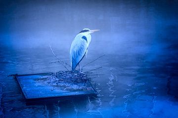 Heron in the fog by Jan van der Knaap