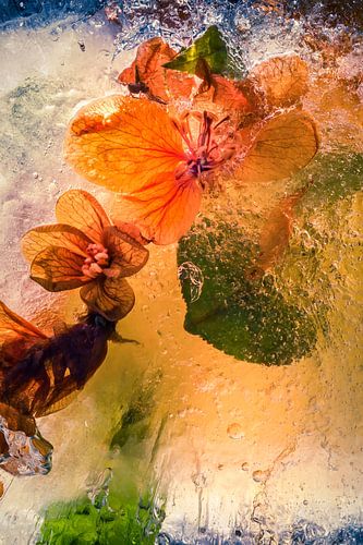 Apfelblüten-Frühlings-Eis Teil 2, vertikal von Peter Smeekens