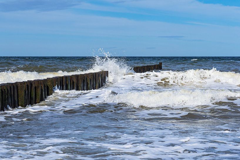 Baltic Sea coast with groyne at the ghost forest near Nienhagen by Rico Ködder