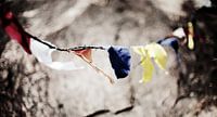Buddhist prayer flags on barbed wire, Sri Lanka by Roel Janssen thumbnail