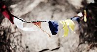 Buddhistische Gebetsfahnen auf Stacheldraht, Sri Lanka