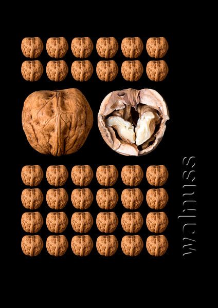foodART - Walnuss von Erich Krätschmer
