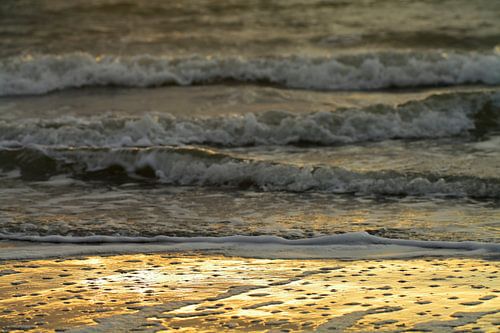 Studie: De Kaloot, Borssele - Zeeland