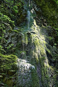 Waterval op een met mos bedekte rotswand van Dieter Stahl