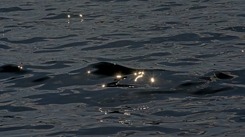 Donker golvend water met reflecties van de zon