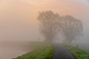 Matinée brumeuse le long de la Dender