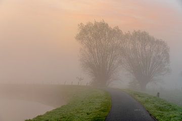 Mistige morgen langst de Dender van Marcel Derweduwen