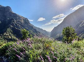 Madère #2 sur zam art