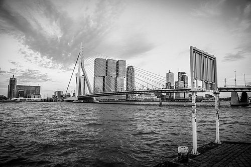 R O T T E R D A M [2]