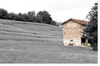  Barn in Black / White