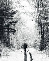 Winterwanderung auf der Nordveluwe