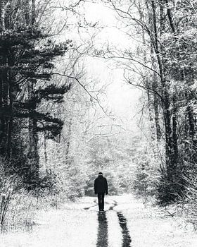 Winterwandeling op de Noord-Veluwe