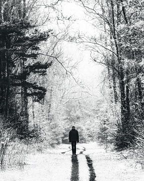 Winterwandeling op de Noord-Veluwe van Marcel van Oene