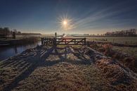 Winter Morning Sunrise van Wil de Boer thumbnail