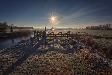 Winter Morning Sunrise by Wil de Boer