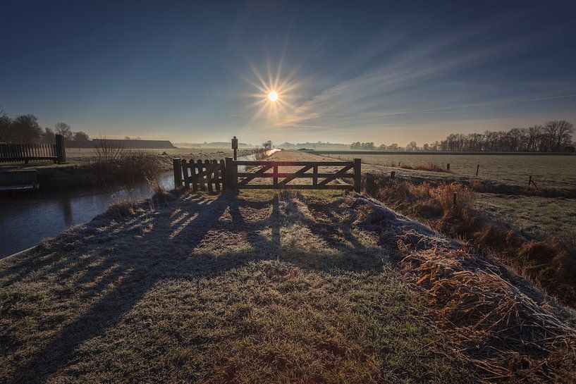 Winter Morning Sunrise van Wil de Boer