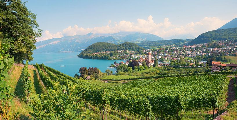 Paysage alpin avec vue sur le lac au vignoble de Spiez par SusaZoom