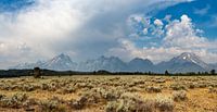 Grand Teton National Park, USA, Wyoming by Jeroen van Deel thumbnail
