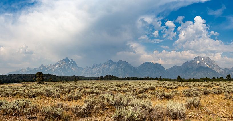 Grand Teton National Park, USA, Wyoming by Jeroen van Deel