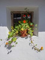 Fenster an Bauernhaus