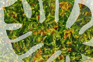 Artistieke en kleurrijke impressie van een Monstera blad van Lisette Rijkers