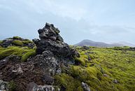 Moss landscape Iceland by René Schotanus thumbnail