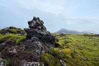 Moslandschap IJsland