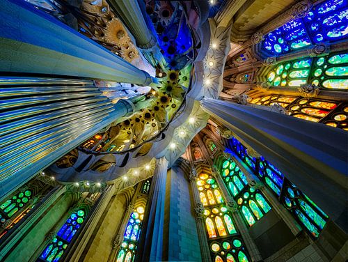 Sagrada Familia - Barcelona van Roy Poots
