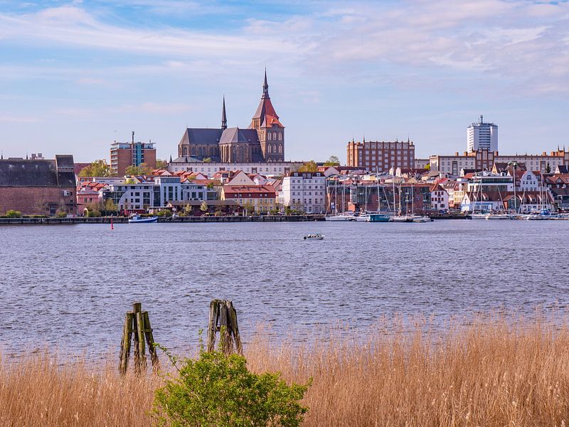 Gezicht op de oude stad van Rostock van Animaflora PicsStock