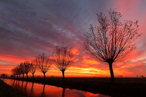 Schöner Sonnenuntergang im Alblasserwaard