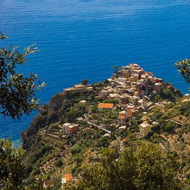 Cinque Terre van Tess Groote