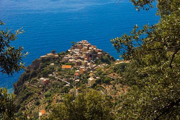 Cinque Terre van Tess Groote