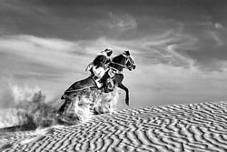 Tunisia. Sahara Desert. Man on horseback in the sand dunes.