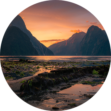 Zonsondergang bij Milford Sound (Fiordland, Nieuw-Zeeland) van Niko Kersting