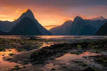 Sunset @ Milford Sound (Fiordland, New Zealand)