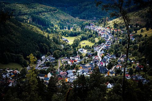 Grünes herz aussicht sur Edwin Kooren