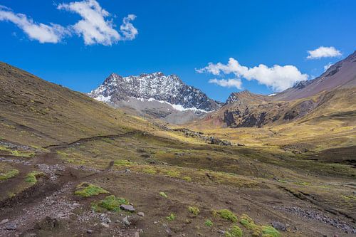 Green valley with snow-capped mountains
