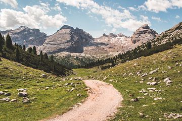 Sand road in Fanes-Sennes-Braies in the Dolomites in Italy by Expeditie Aardbol