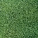 Luchtfoto abstract groen moeras van aerovista luchtfotografie thumbnail