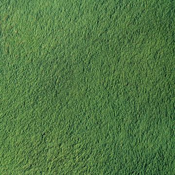 Luchtfoto abstract groen moeras van aerovista luchtfotografie