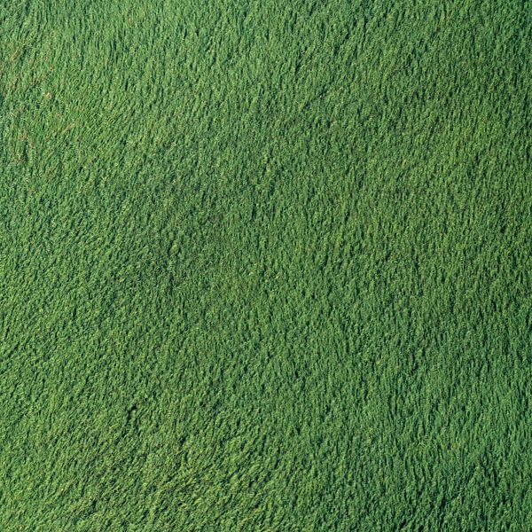 Luchtfoto abstract groen moeras van aerovista luchtfotografie